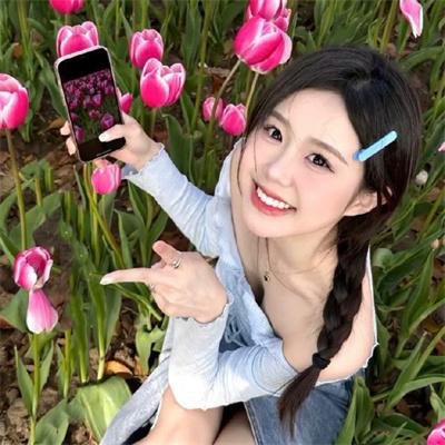 功夫梦：融合之道