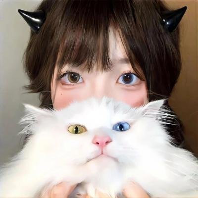 猎魔人：老鼠盗贼团